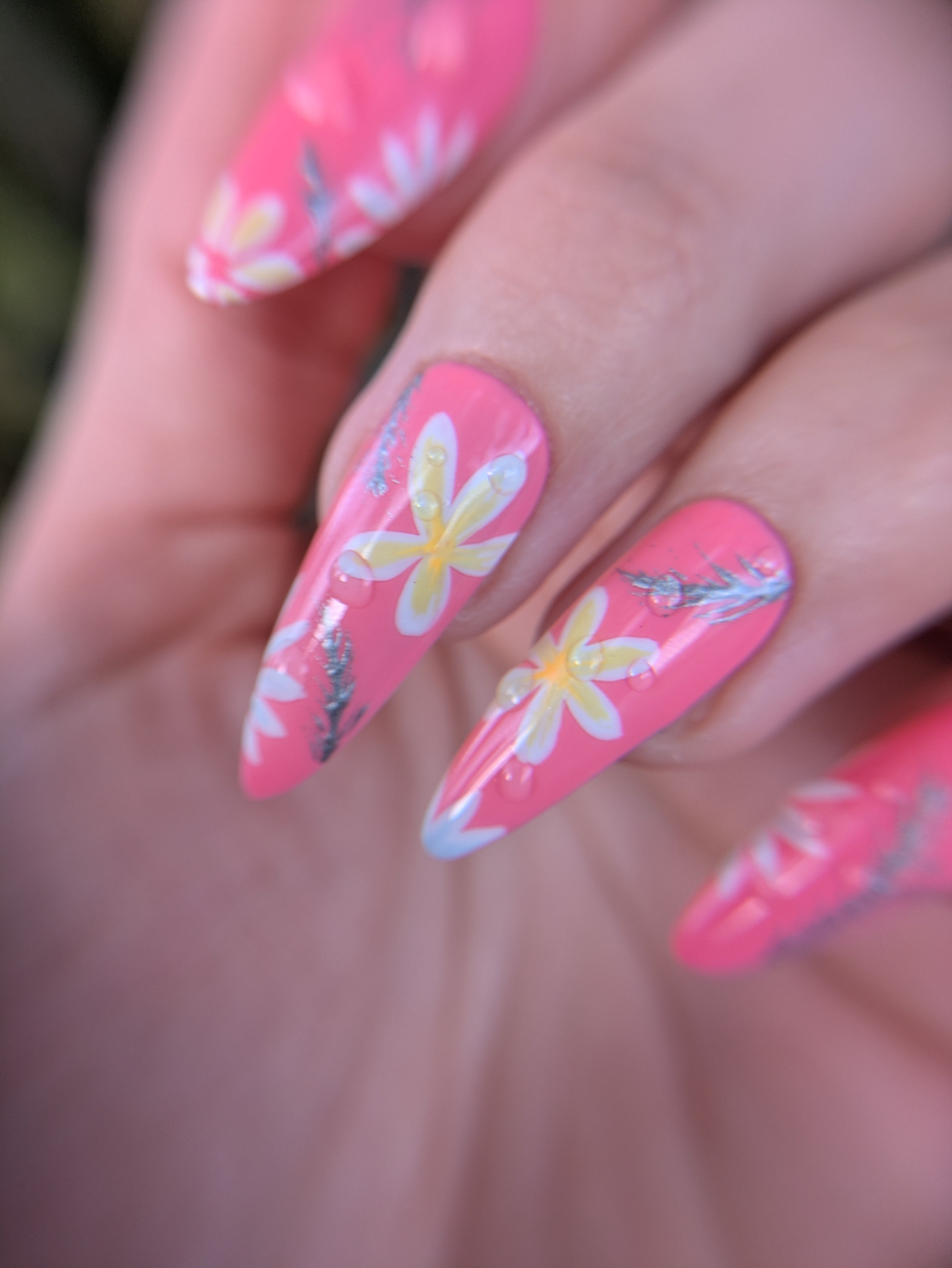 Hibiscus